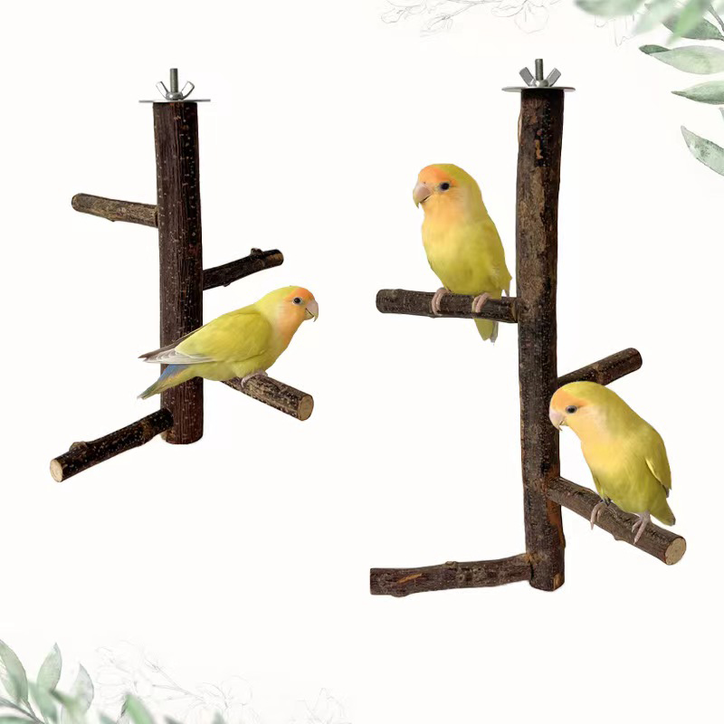 Desk Setup Apple - Support de branche d'oiseau en bois