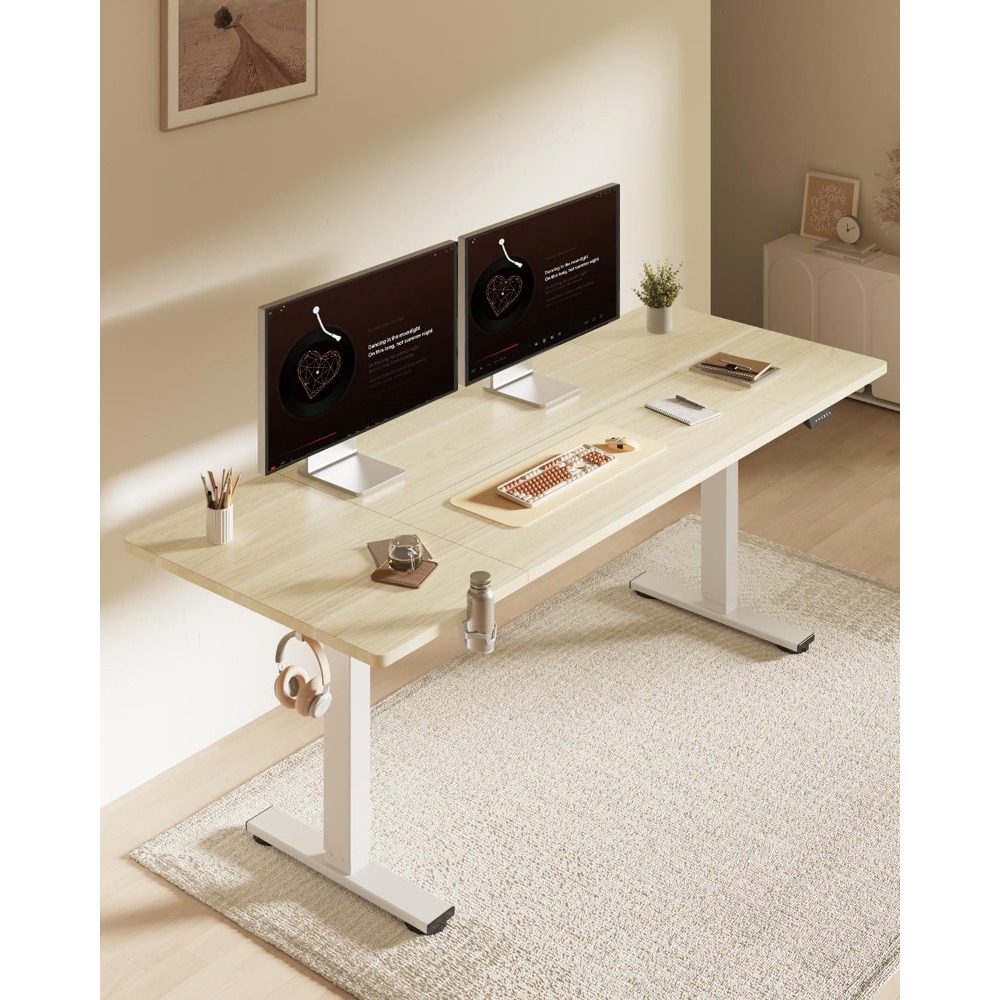 FLEXISPOT Bureau debout électr - Setup Desk Monitor avis et prix