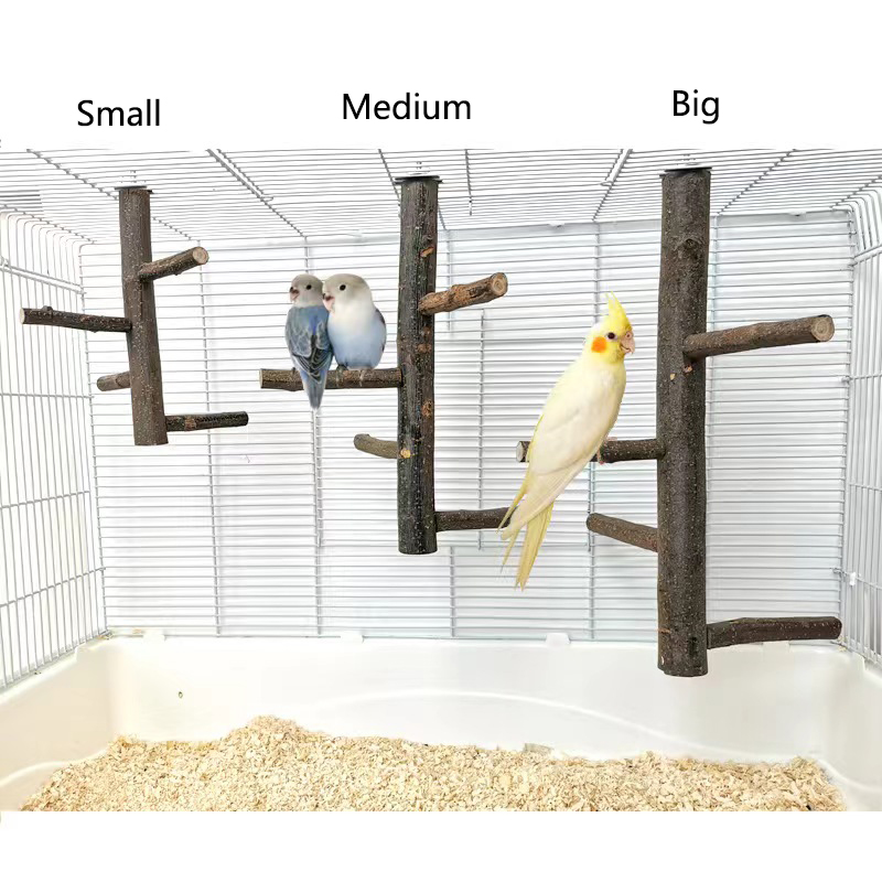 Support de branche d'oiseau en - Desk Setup Apple avis et prix