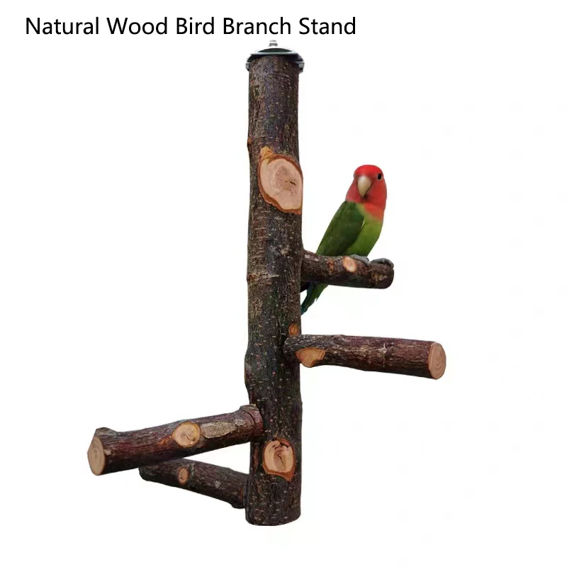Support de branche d'oiseau en - Desk Setup Apple avis et prix